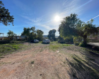 Venta - Finca / Country Property - Aspe