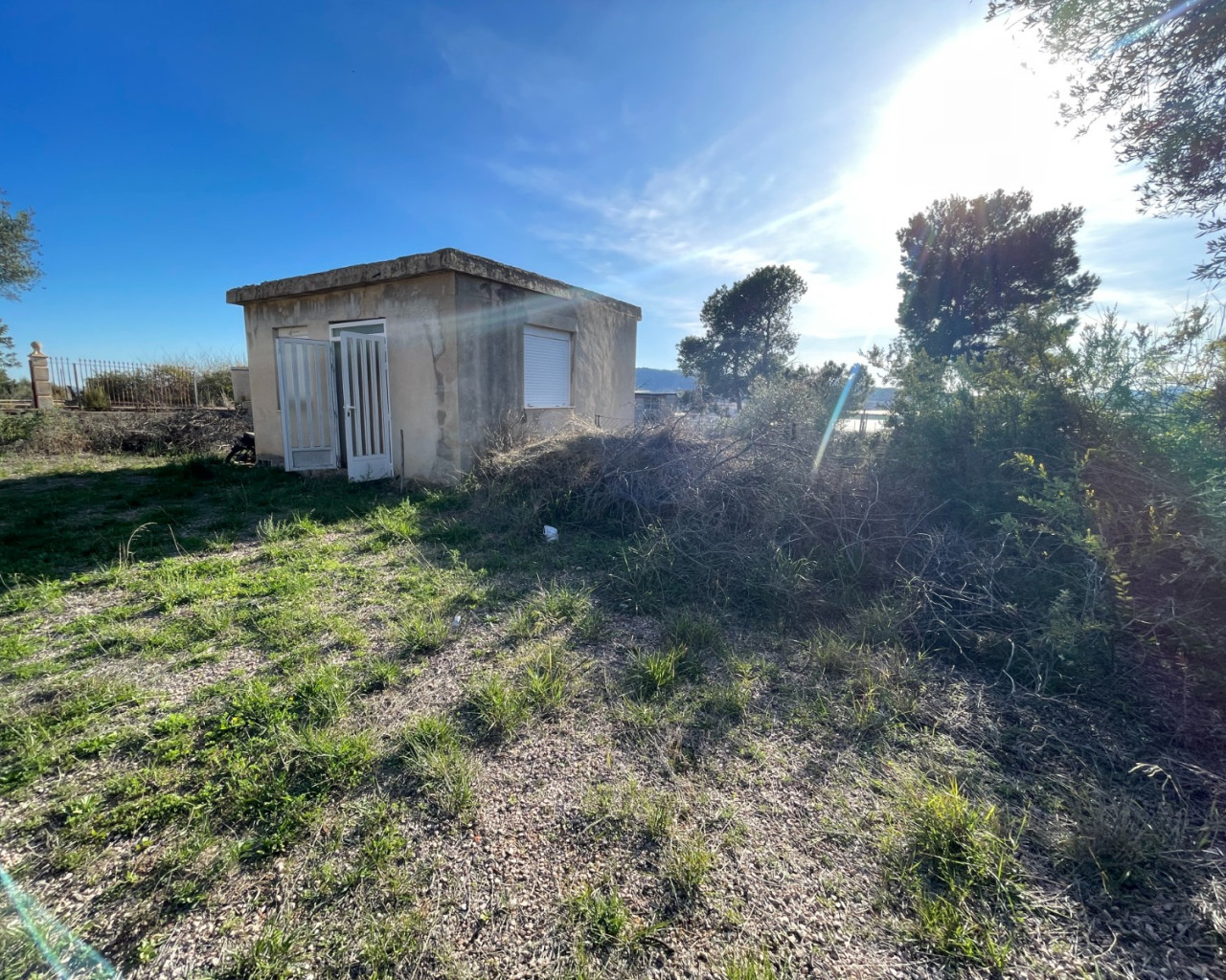 Venta - Finca / Country Property - Aspe