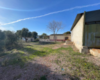 Venta - Finca / Country Property - Aspe