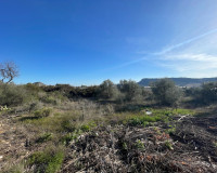 Venta - Finca / Country Property - Aspe