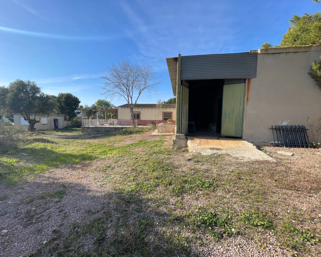Venta - Finca / Country Property - Aspe