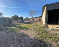 Venta - Finca / Country Property - Aspe