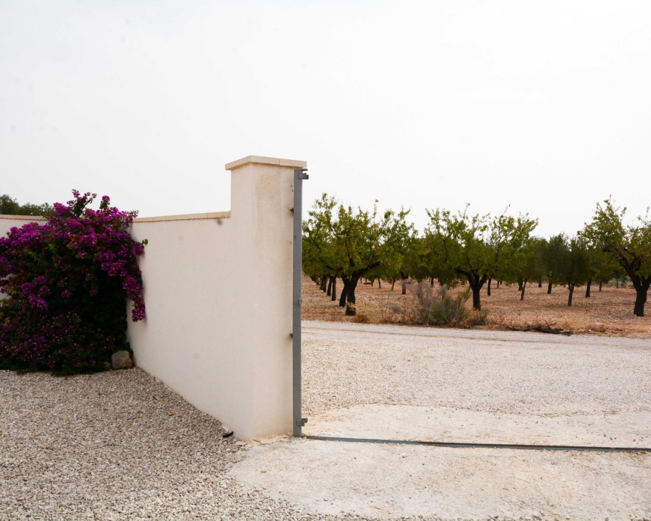 Venta - Finca / Country Property - Macisvenda