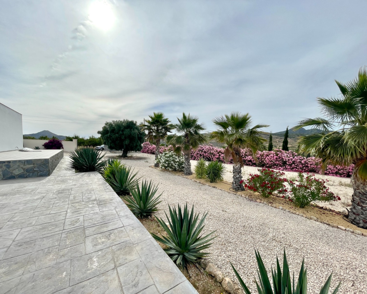 Venta - Finca / Country Property - Macisvenda