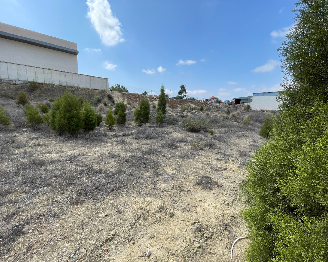 Venta - Parcela/Terreno - Rojales