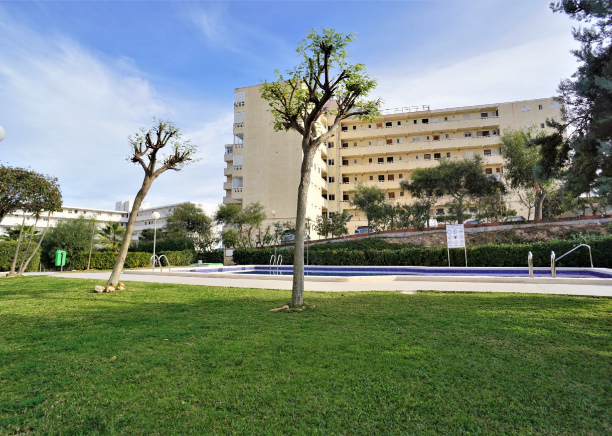 Location longue durée - Appartement - Torrevieja - Torreblanca