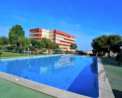 Alquiler a largo plazo - Apartamento - Torrevieja - Torreblanca