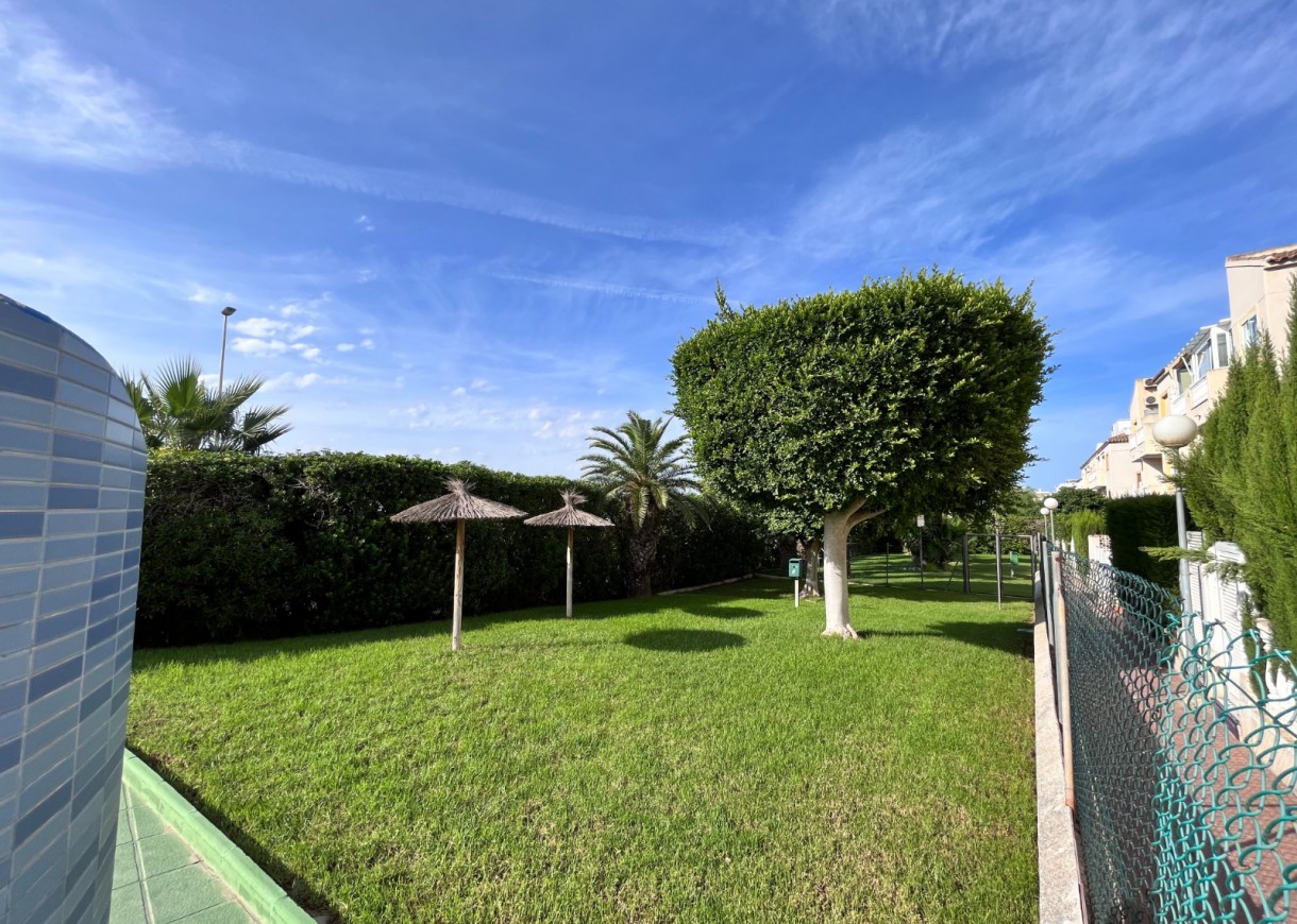 Venta - Apartamento - Torrevieja - Torreblanca