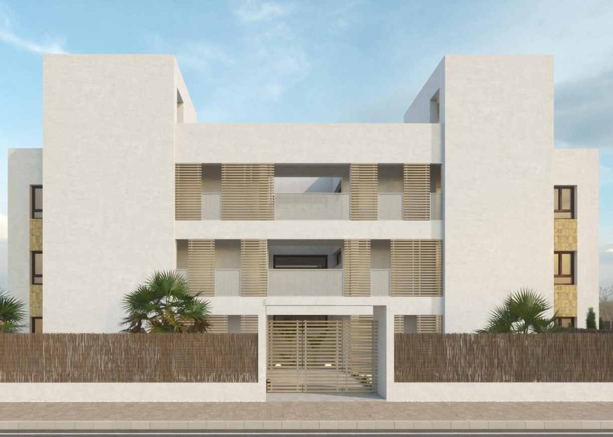 Nouvelle construction - Penthouse - Orihuela Costa - PAU 8