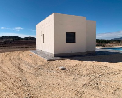 New Build - Villa - Pinoso - Camino Del Prado