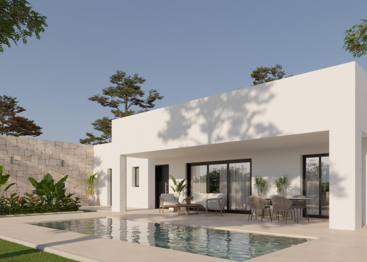 Nouvelle construction - Villa - Pinoso - Lel