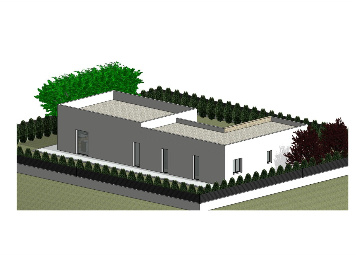 New Build - Villa - Pinoso - Lel