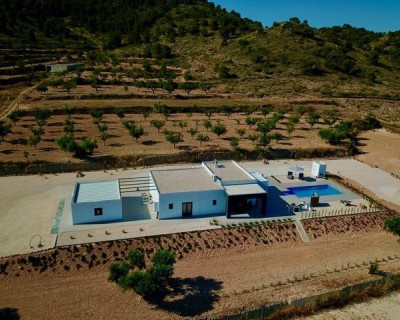 Nouvelle construction - Villa - Jumilla - Torre del Rico