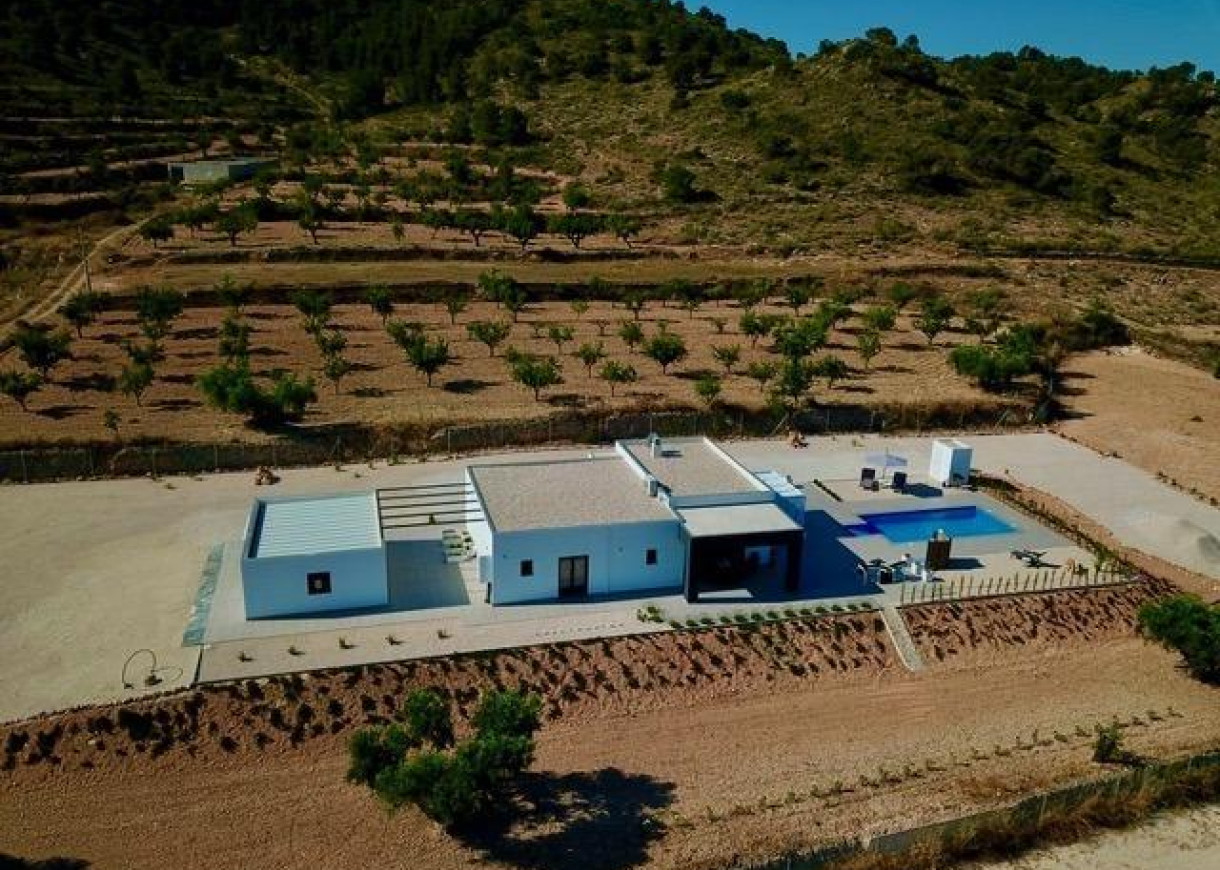 Nueva construcción  - Chalet - Jumilla - Torre del Rico