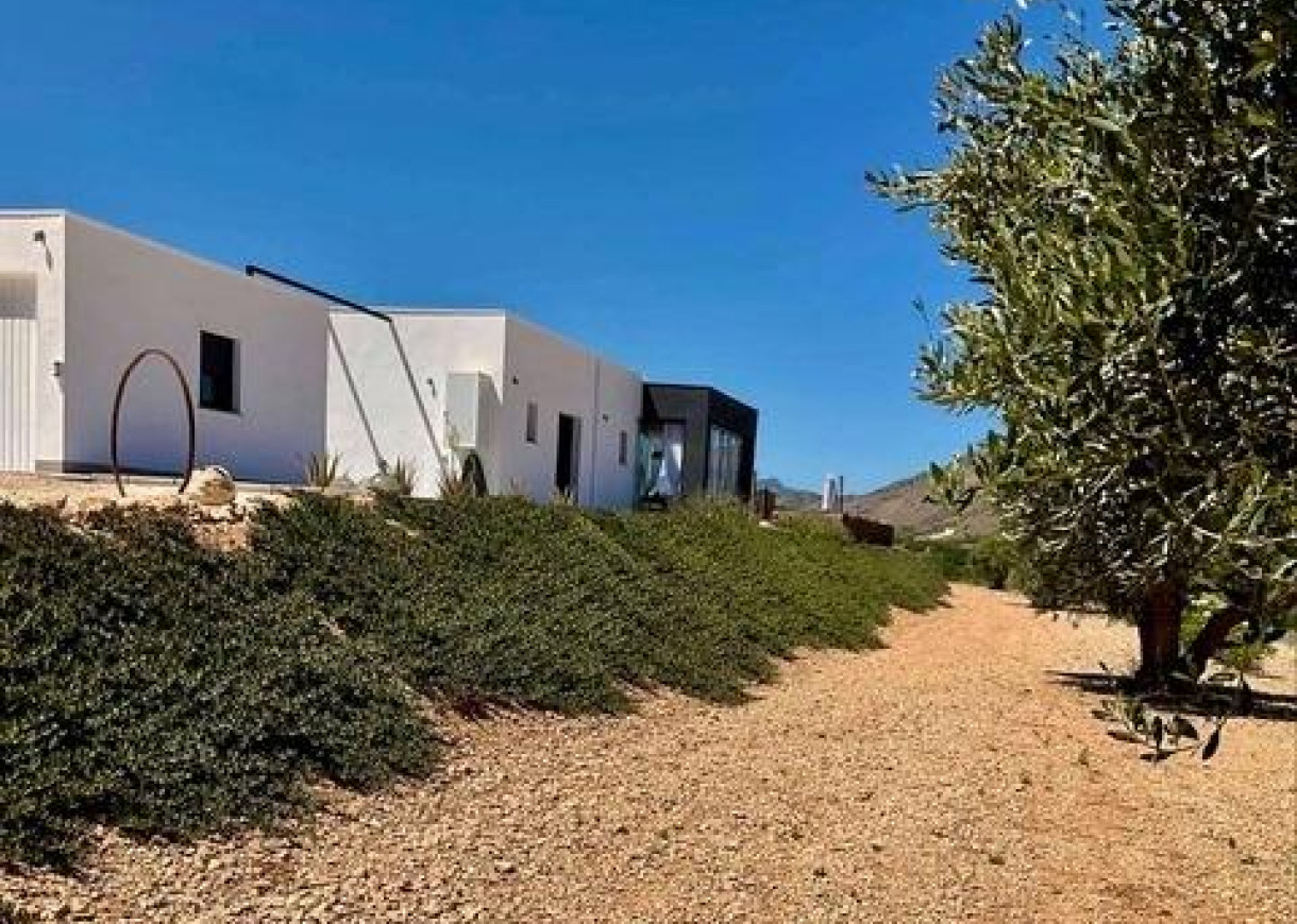 Nueva construcción  - Chalet - Jumilla - Torre del Rico