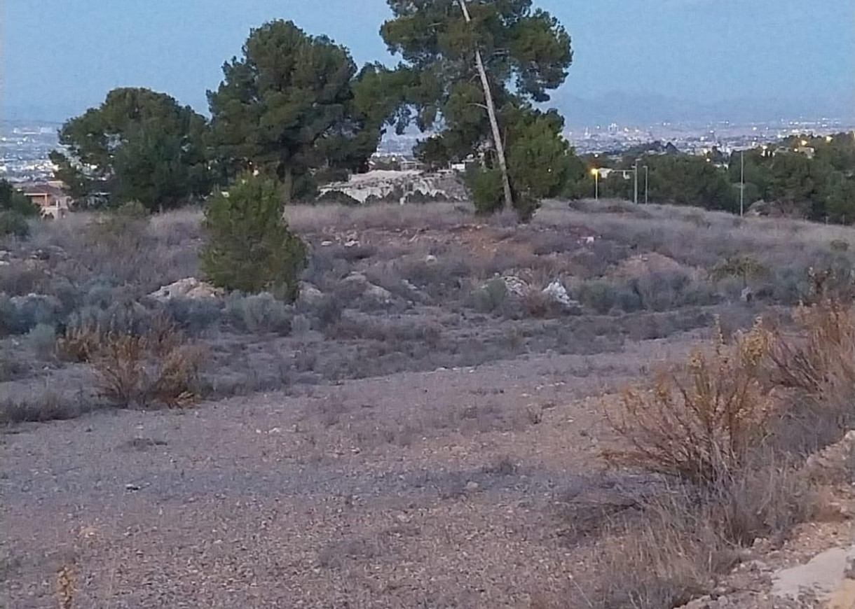 Nueva construcción  - Casa de pueblo - Sangonera la Verde - Torre Guil