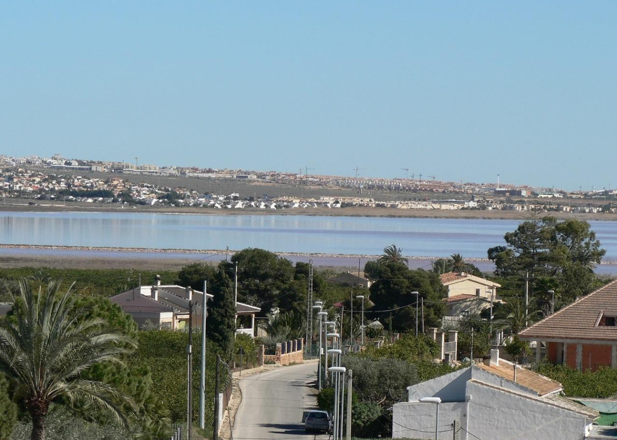 Nueva construcción  - Chalet - Los Montesinos - La herrada