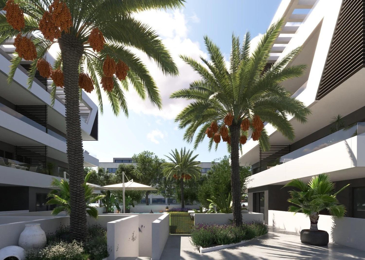 Nouvelle construction - Penthouse - San Juan Alicante - Frank Espinós