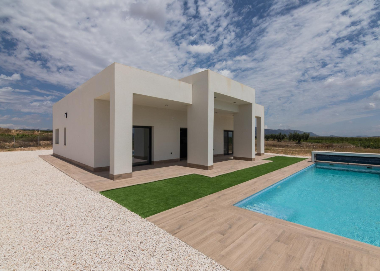 New Build - Villa - Pinoso - Campo