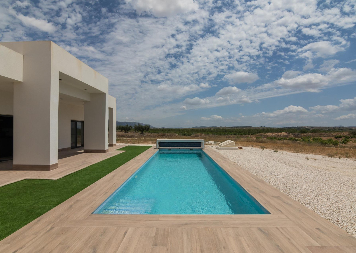 Nouvelle construction - Villa - Pinoso - Campo