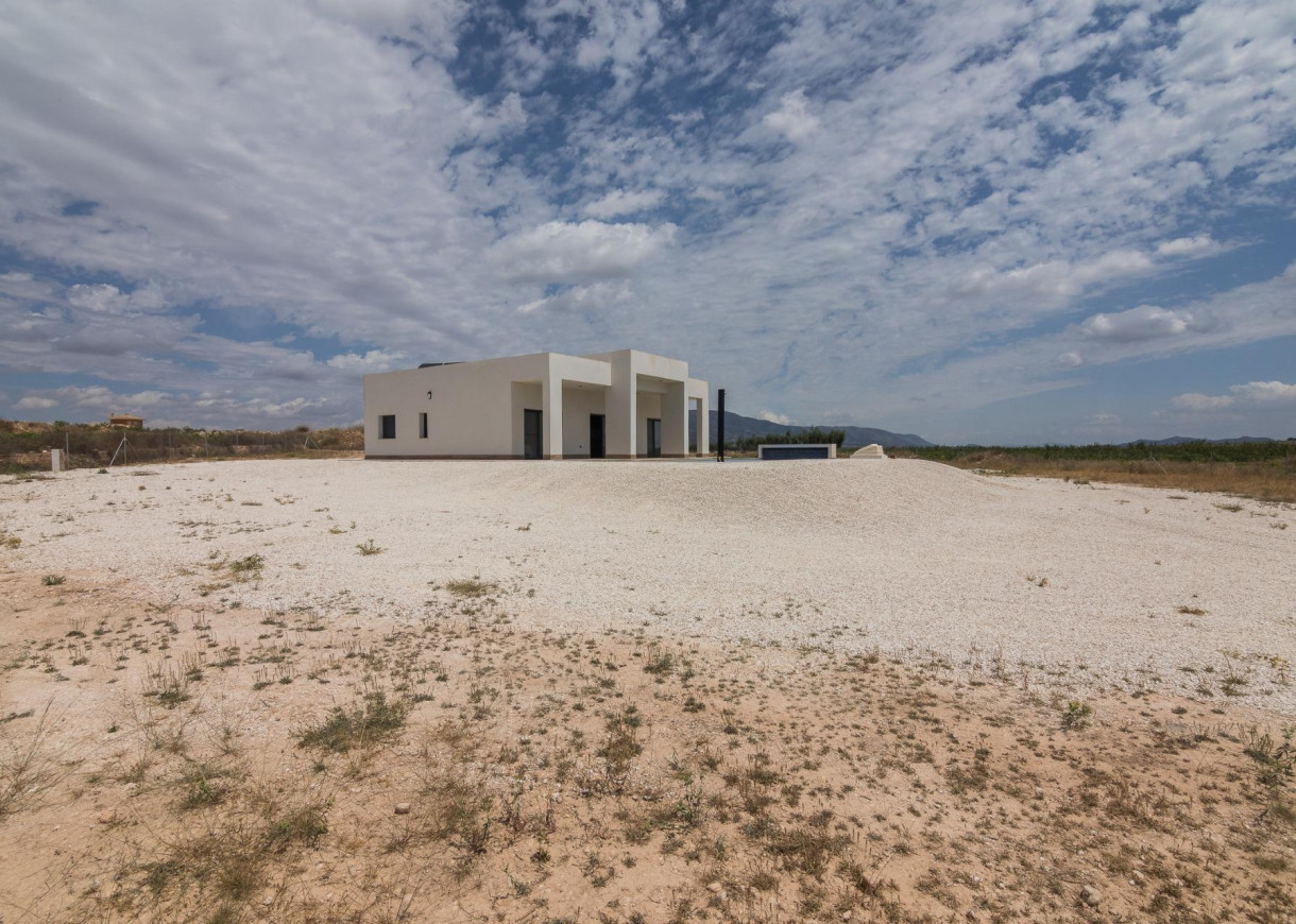 Nueva construcción  - Chalet - Pinoso - Campo