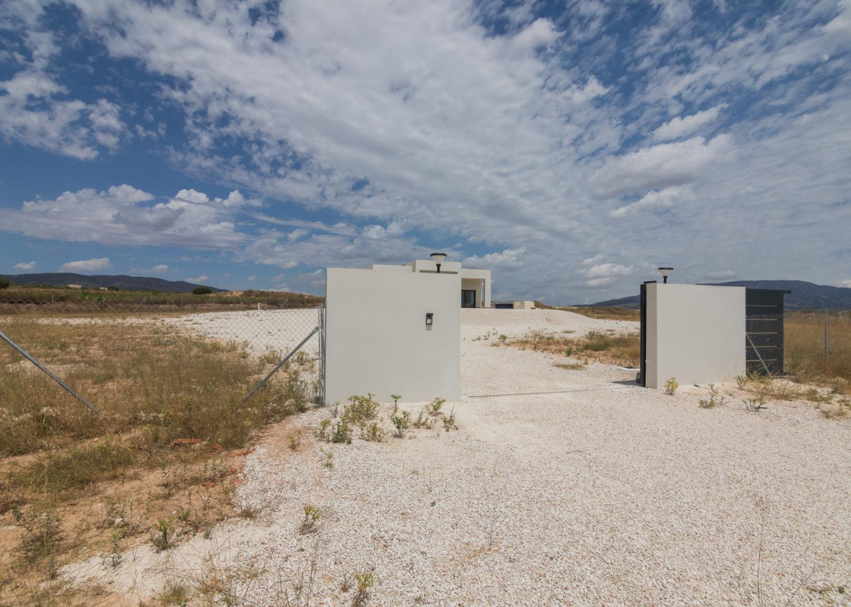 Nueva construcción  - Chalet - Pinoso - Campo