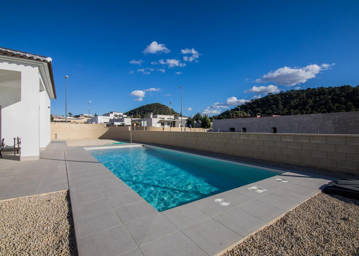 Nueva construcción  - Chalet - Pinoso - Campo