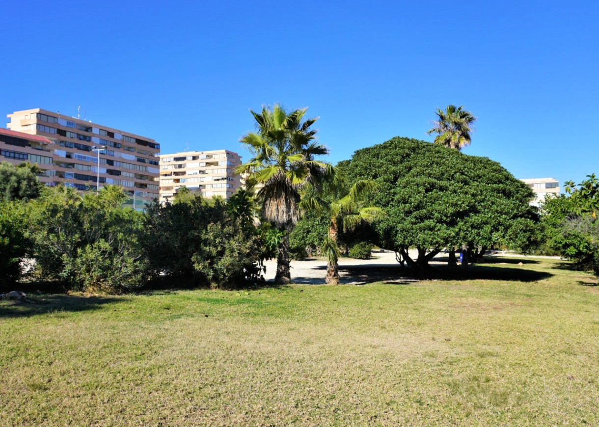 Location longue durée - Appartement - Torrevieja - Cabo Cervera