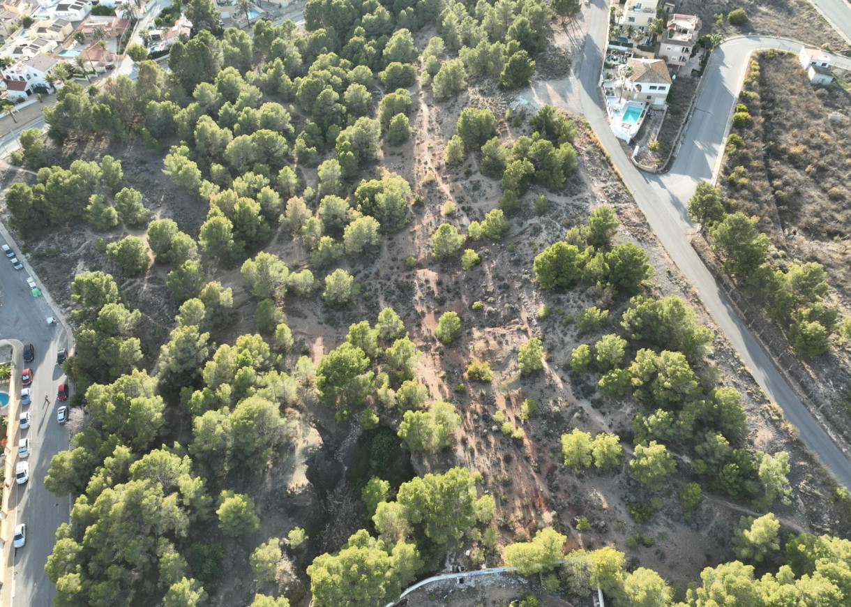 Nueva construcción  - Chalet - Alfas del Pí - Escandinavia