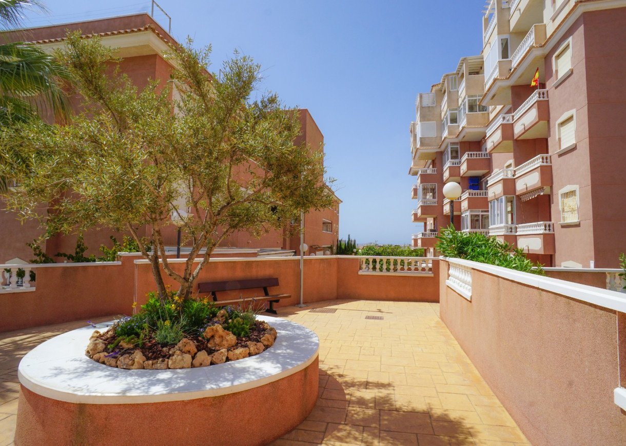 Venta - Apartamento - Torrevieja - Torreblanca