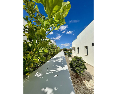 New Build - Villa - Benijofar