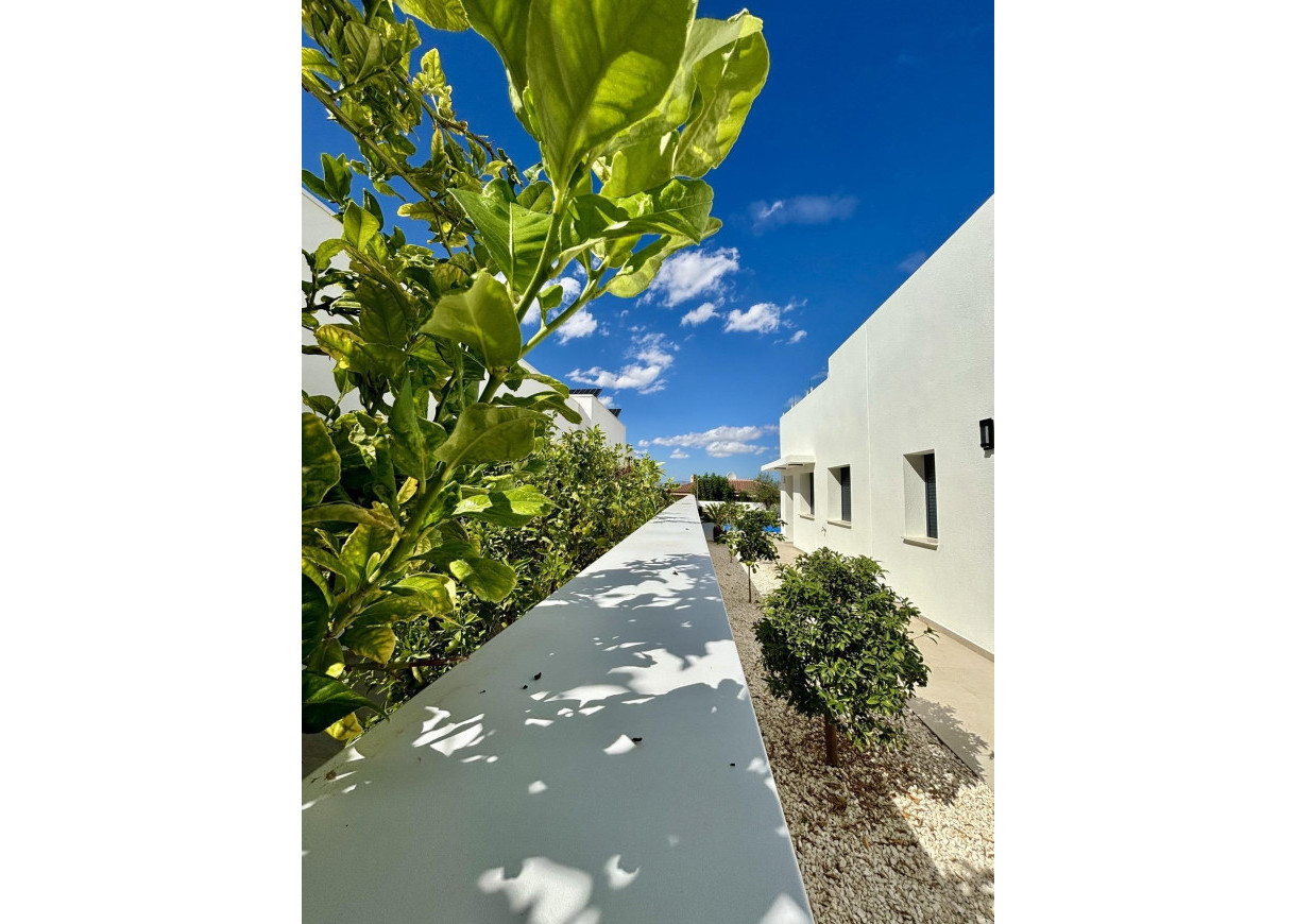 New Build - Villa - Benijofar