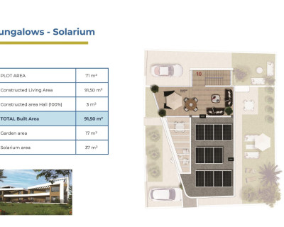 Nouvelle construction - Bungalow - Orihuela Costa - Punta Prima