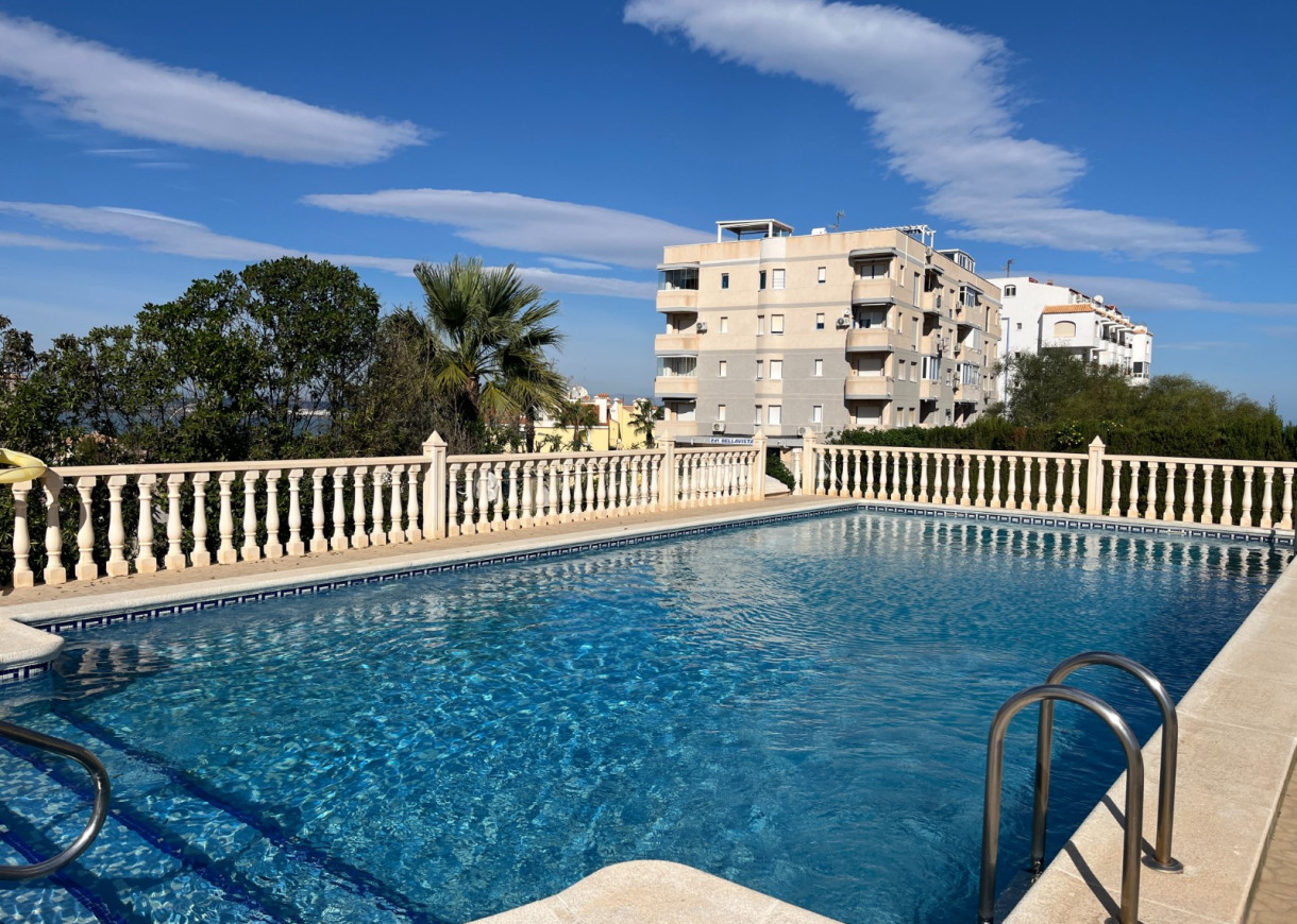 Location longue durée - Appartement - Torrevieja - Torreblanca