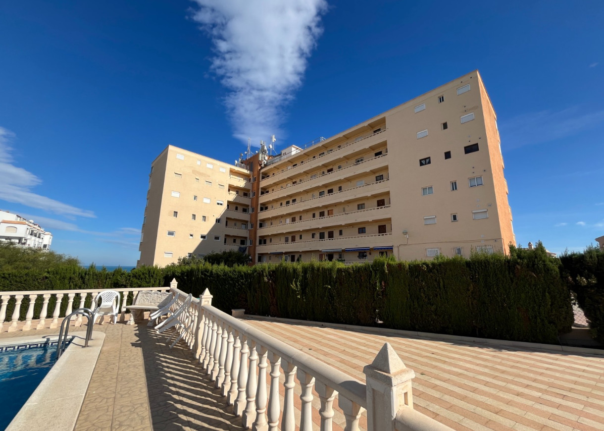 Location longue durée - Appartement - Torrevieja - Torreblanca