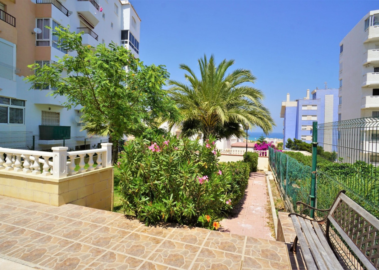 Location longue durée - Appartement - Torrevieja - Torreblanca