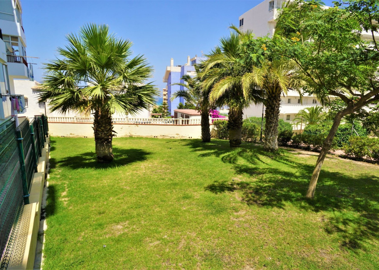 Location longue durée - Appartement - Torrevieja - Torreblanca