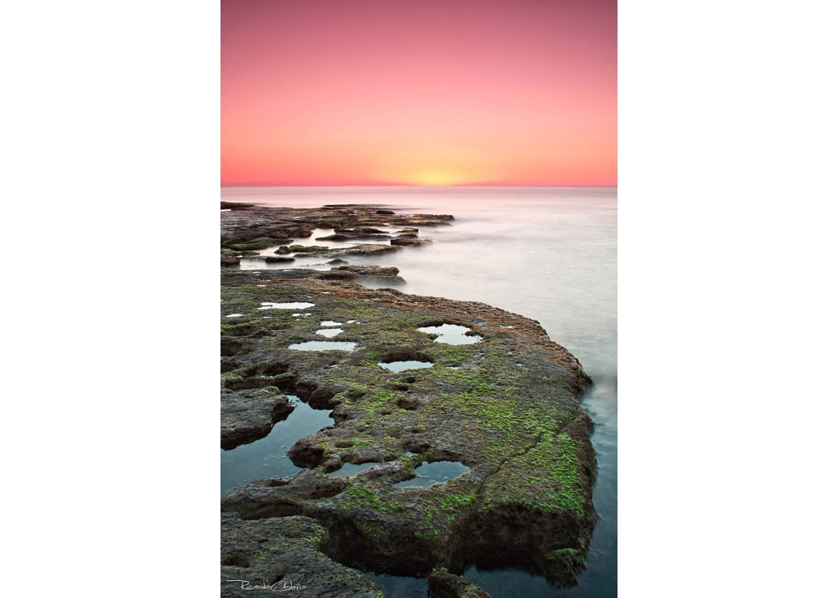 New Build - Bungalow - Torrevieja - Altos del Sol