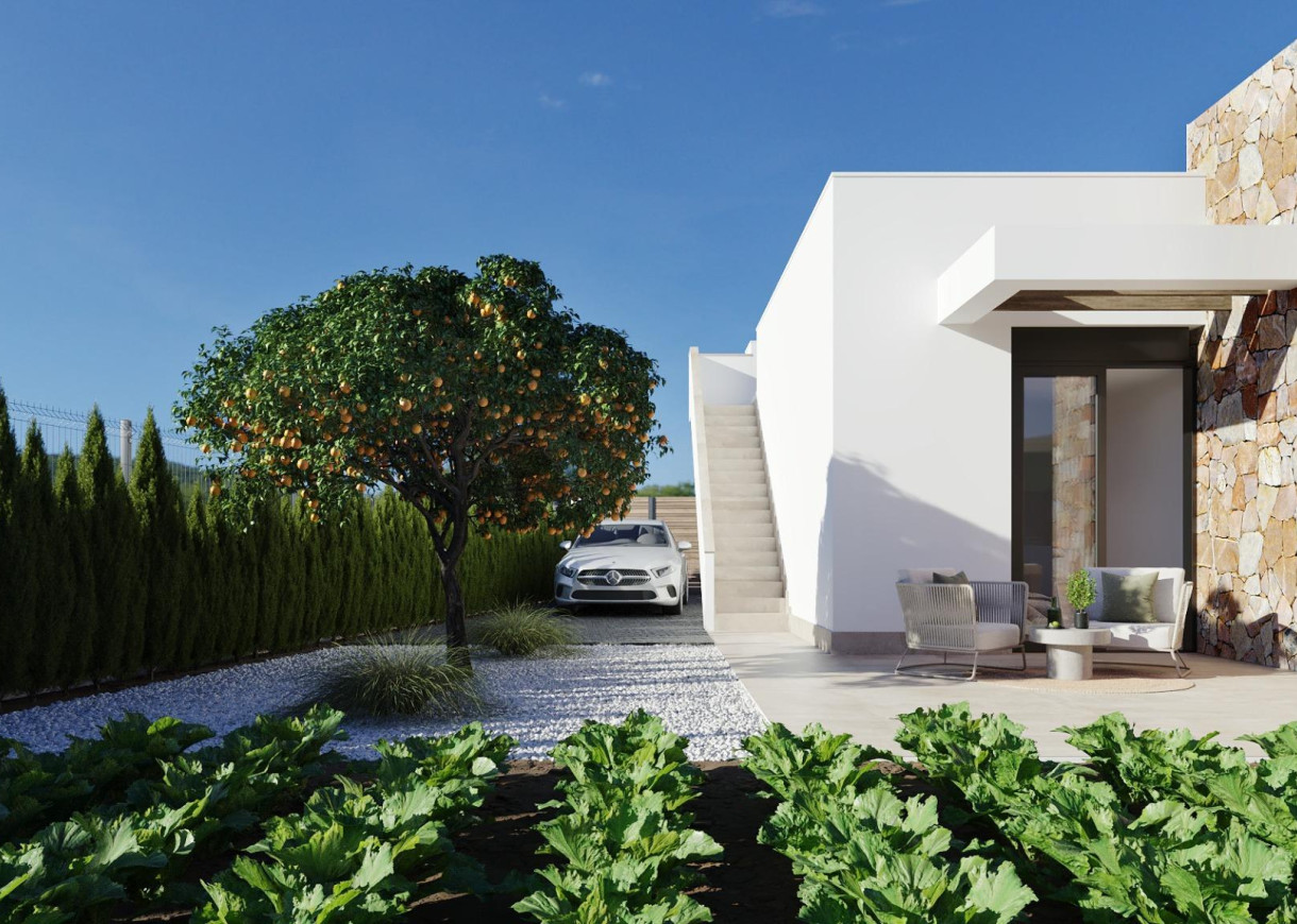 New Build - Villa - Fuente Álamo - Hacienda del Alamo