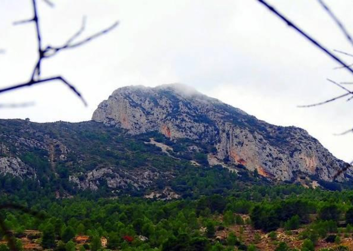 New Build - Villa - La Romana - Batistes