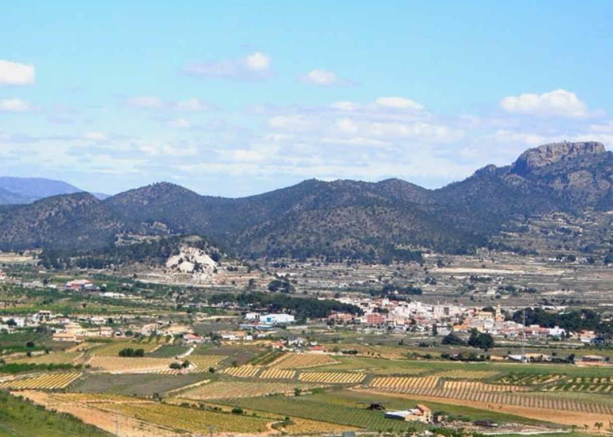 New Build - Villa - La Romana - Batistes