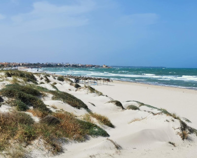 New Build - Villa - Pilar de la Horadada