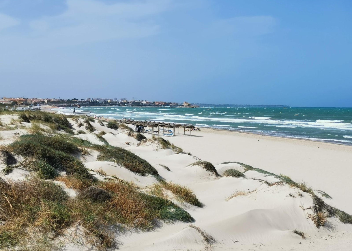 New Build - Villa - Pilar de la Horadada