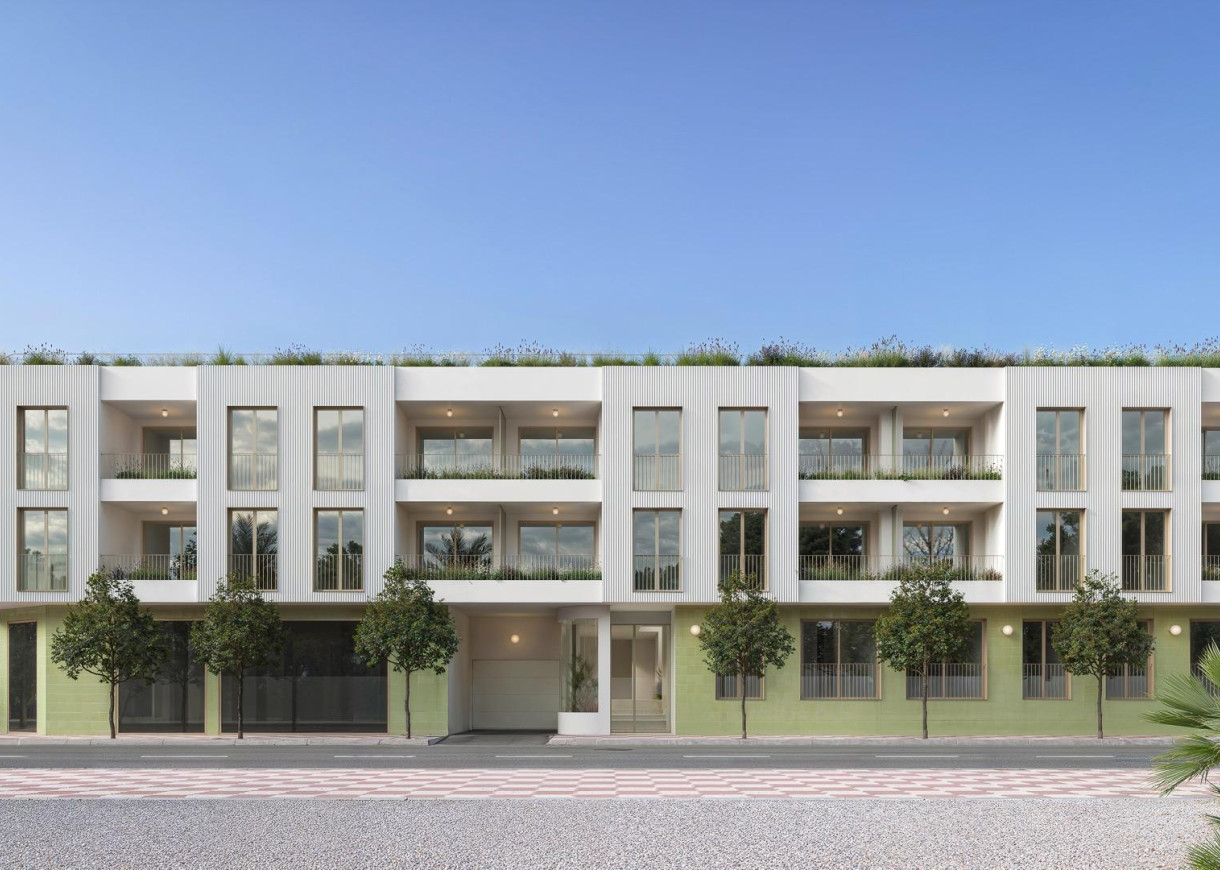 Nouvelle construction - Penthouse - Jacarilla - Comunidad Valenciana