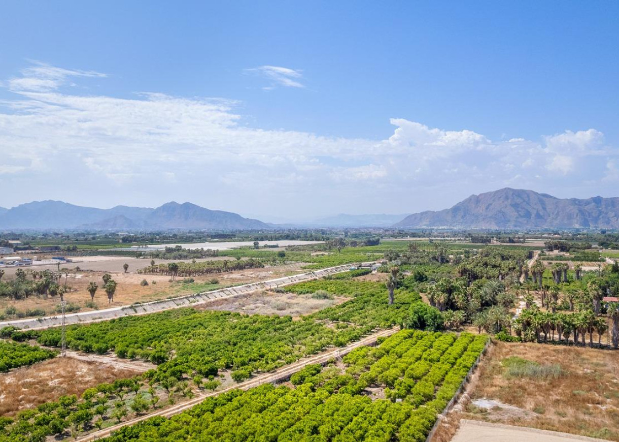 New Build - Apartment - Jacarilla - Comunidad Valenciana