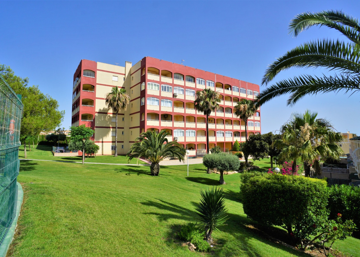 Long time Rental - Apartment - Torrevieja - Torreblanca