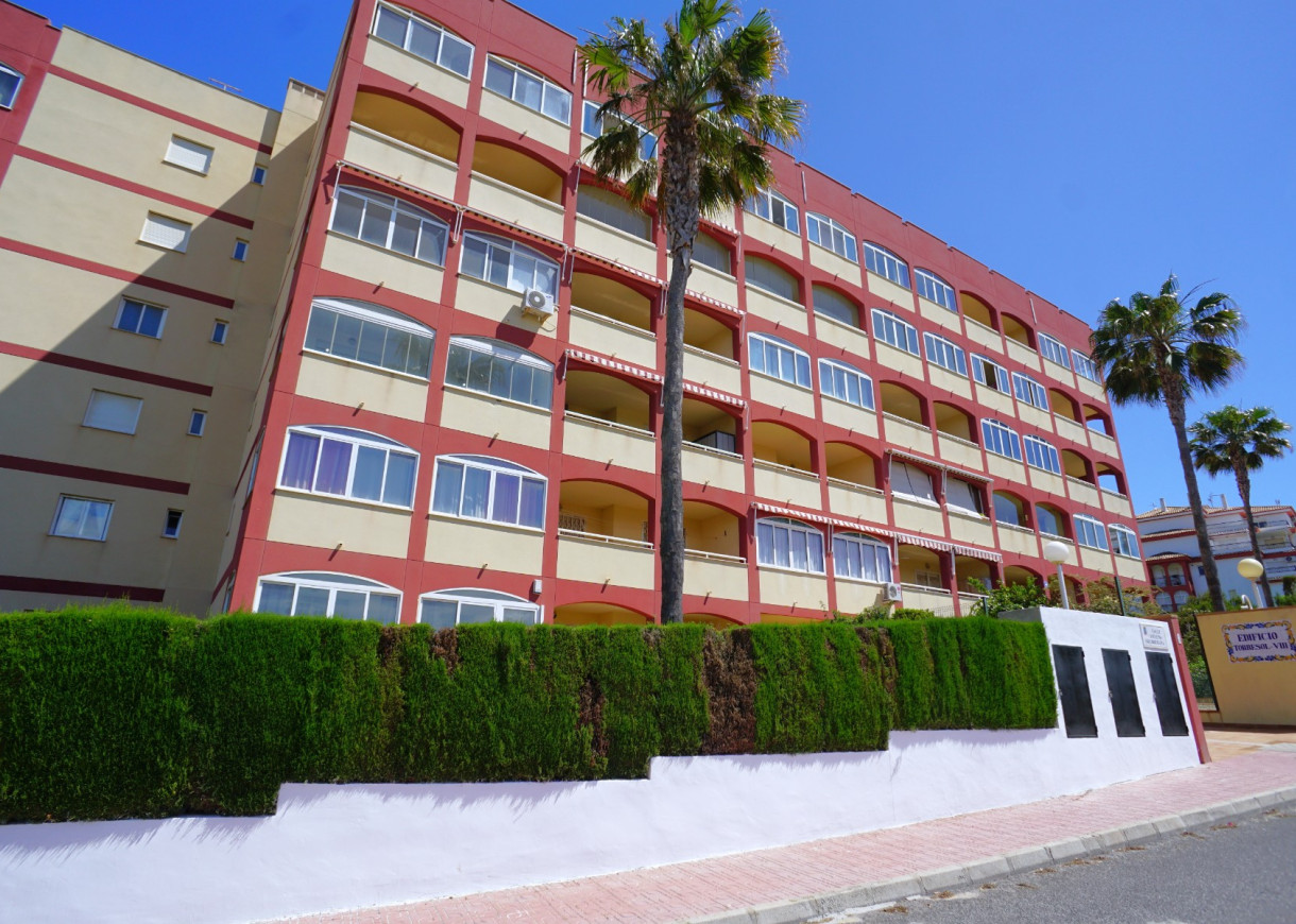 Long time Rental - Apartment - Torrevieja - Torreblanca