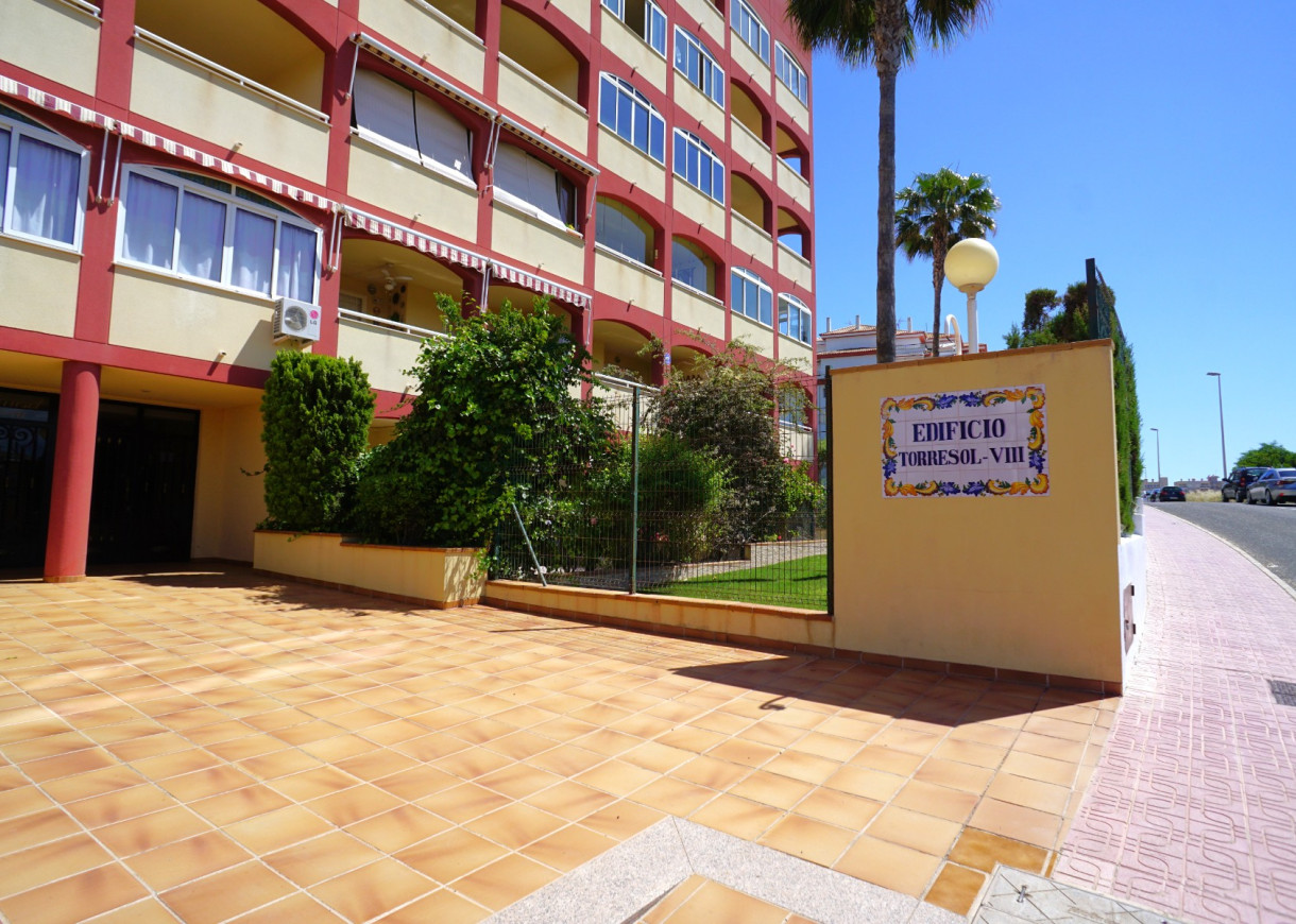 Long time Rental - Apartment - Torrevieja - Torreblanca