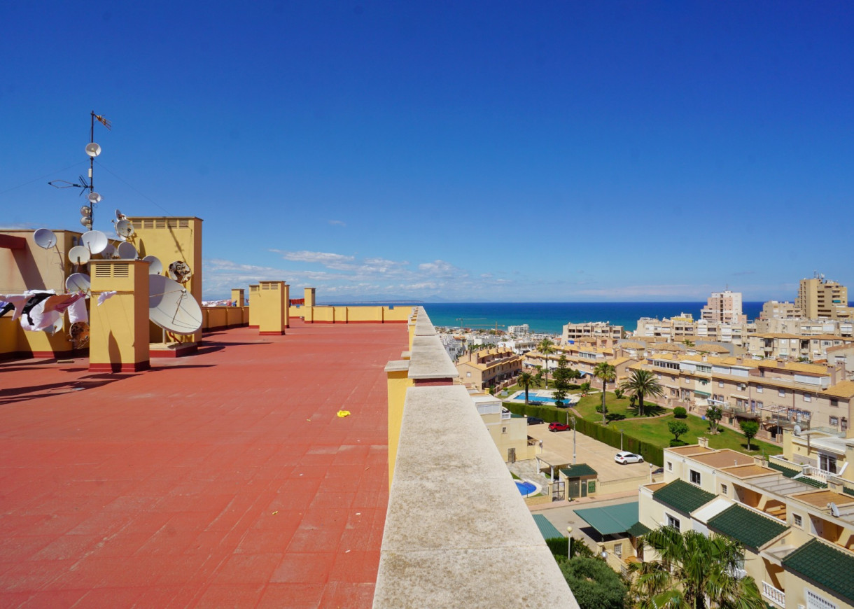 Long time Rental - Apartment - Torrevieja - Torreblanca