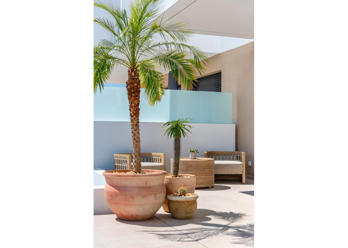 New Build - Villa - Dolores - Sector 3